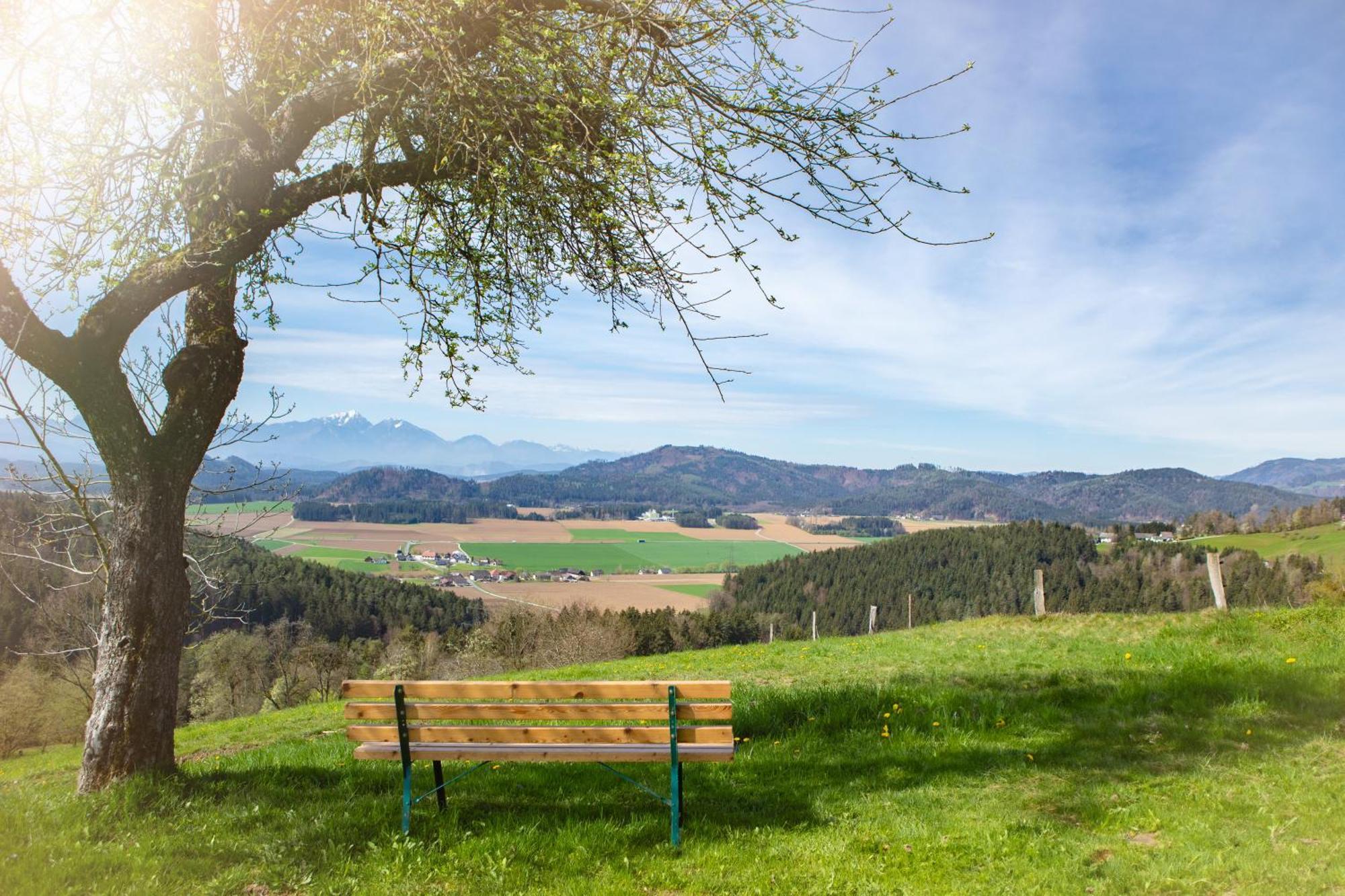 Nuova Via Holiday home Griffen